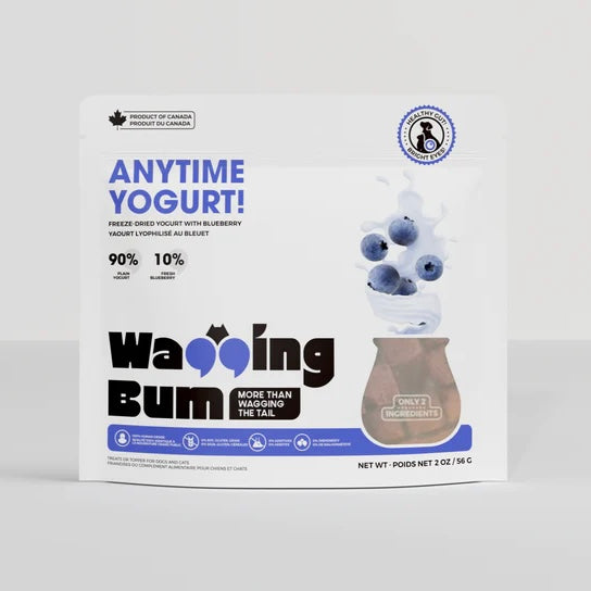 Wagging Bum Anytime Yogurt! with Blueberry