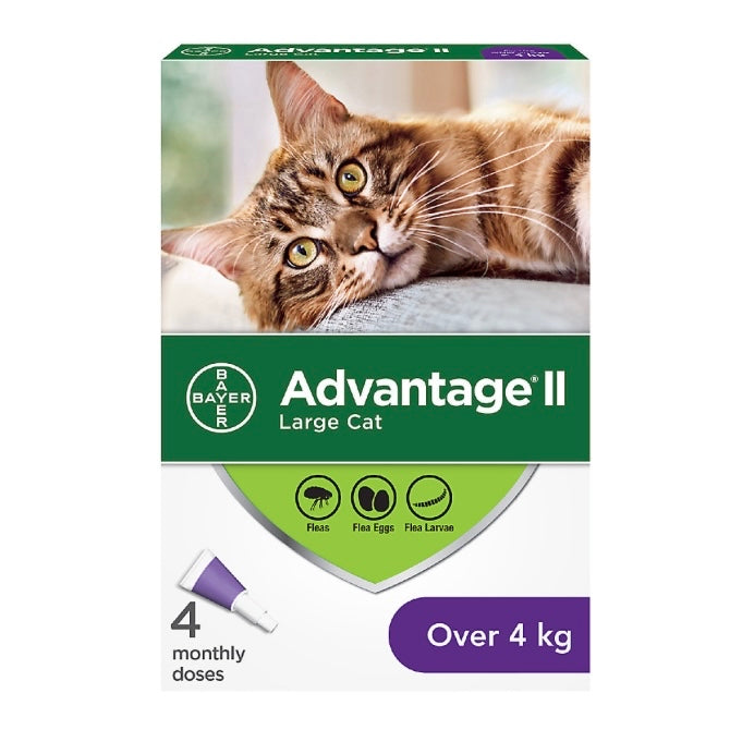 Advantage II Flea Protection - Large Cats (4kg+)