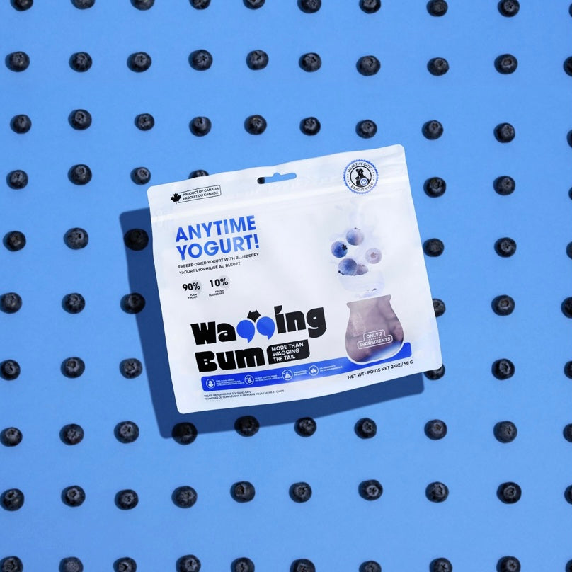 Wagging Bum Anytime Yogurt! with Blueberry