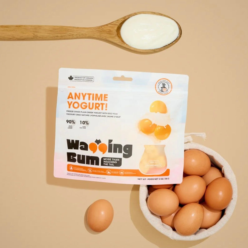 Wagging Bum Anytime Yogurt! with Egg Yolk