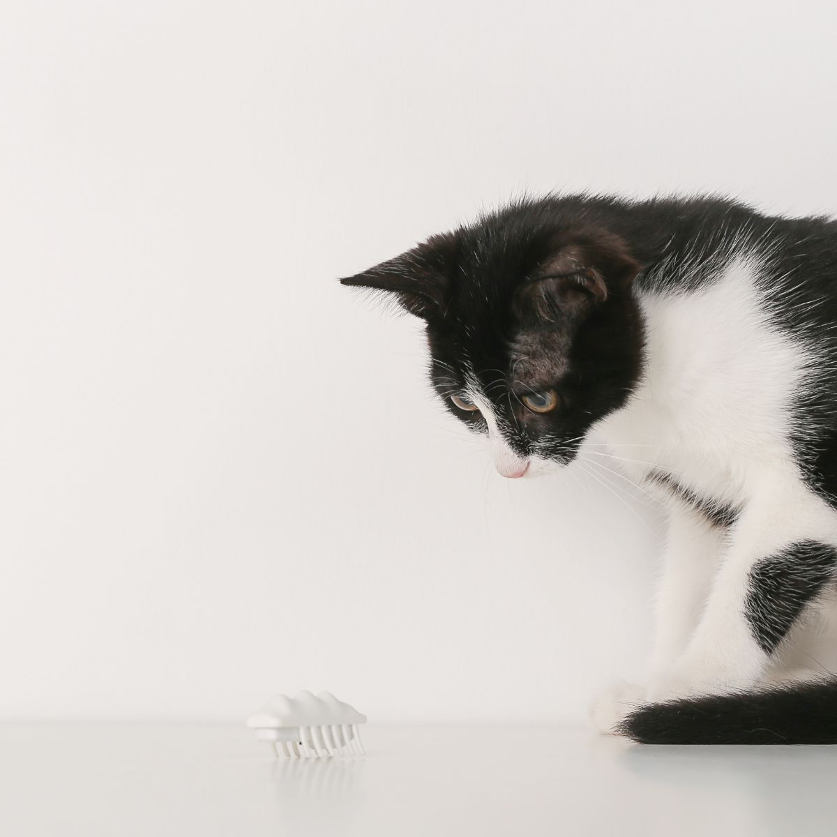 PIDAN Electronic Cat Teasing Toy - Little Snow Monster