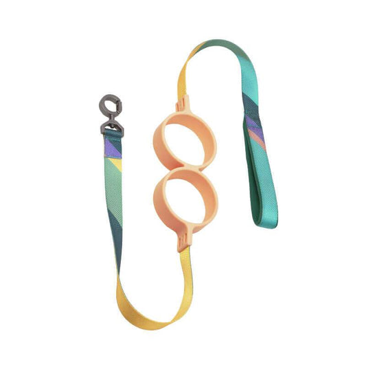 PIDAN Shock Absorbing Dog Leash - Circle & Color Block Style