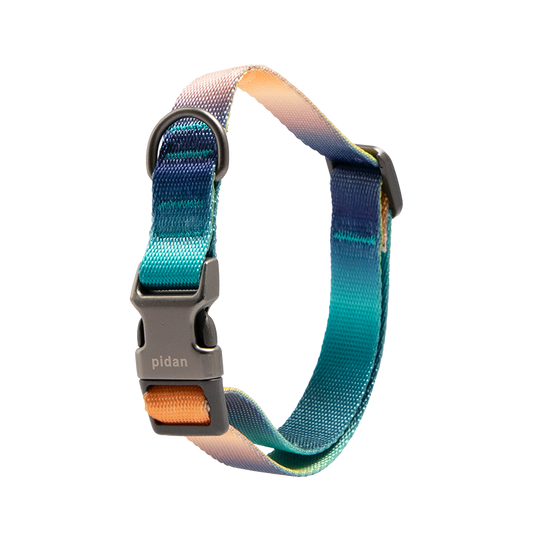 PIDAN Dog Collar with Metal Buckle Gradient Style