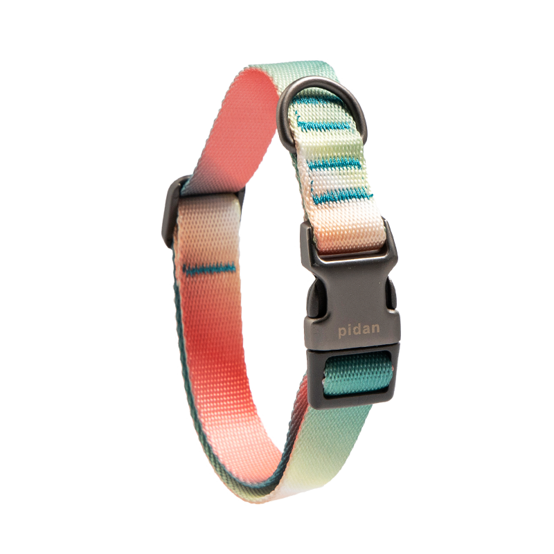 PIDAN Dog Collar with Metal Buckle Gradient Style