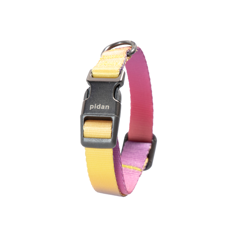 PIDAN Dog Collar with Metal Buckle