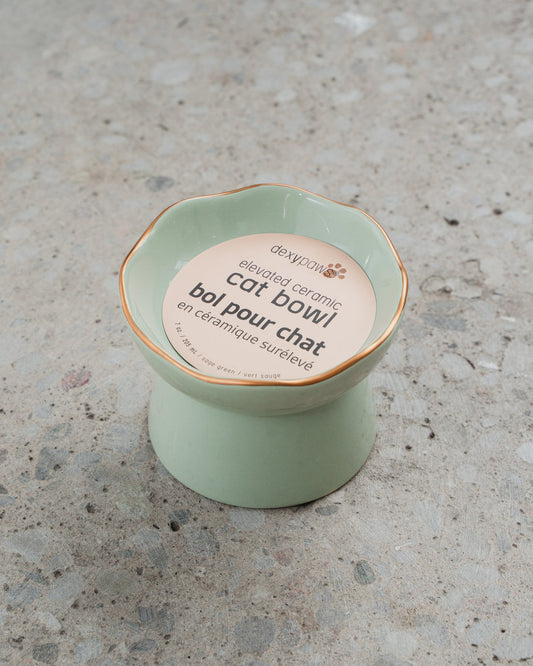 Dexypaws Raised Ceramic Cat Bowl Sage Green