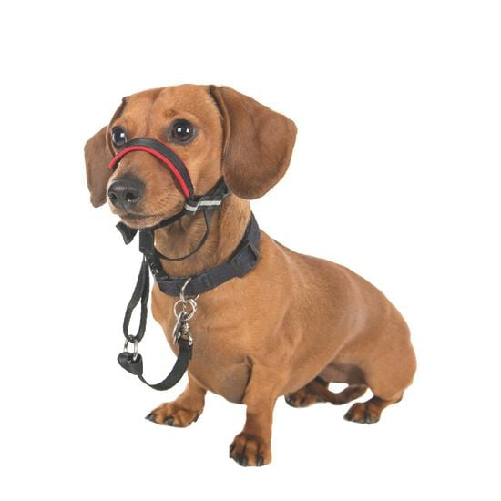Halti Optifit Small