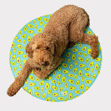 GF PET Ice Mat Round Aqua