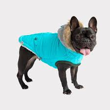 GF PET Winter Sailor Parka Aqua