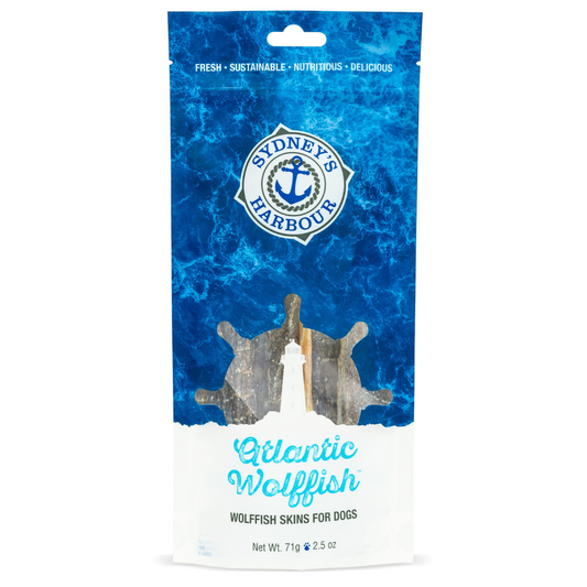 This & That Altantic Wolffish