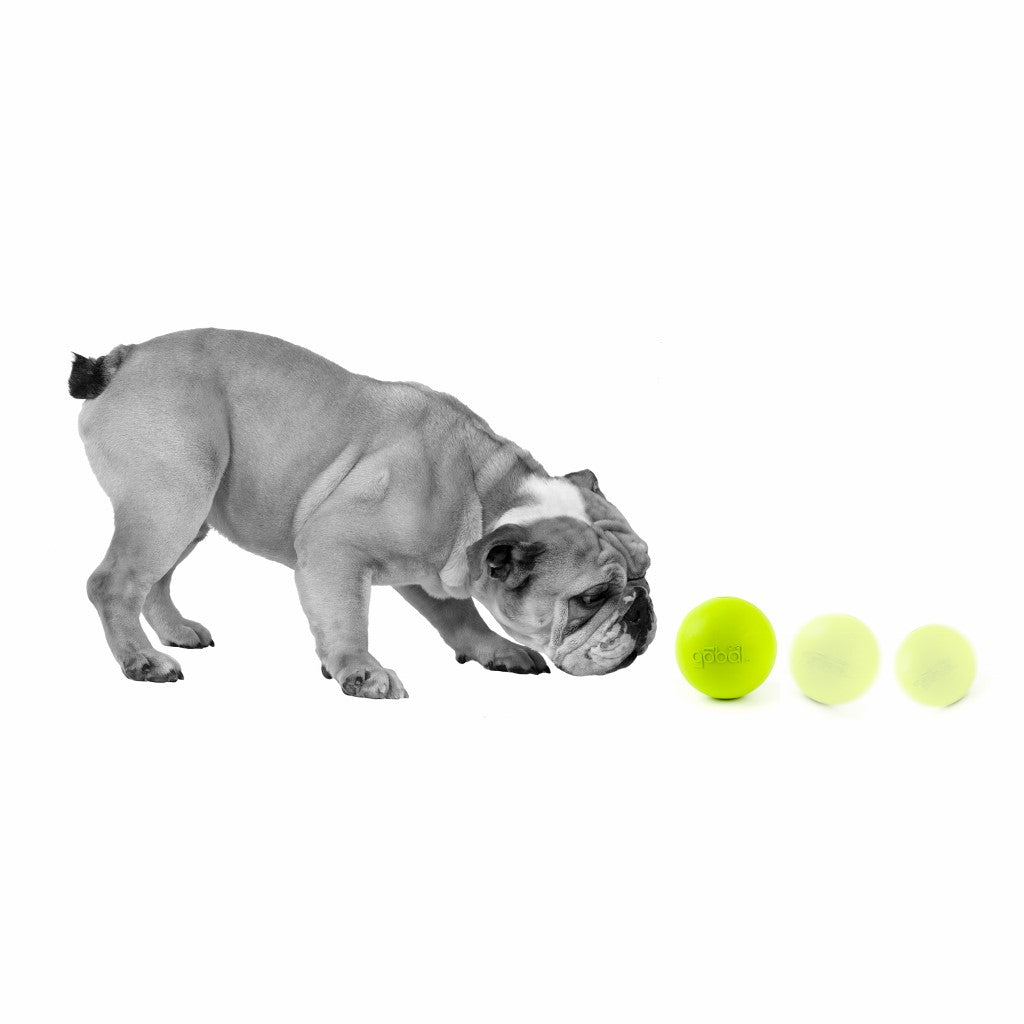 Petprojekt Large Gobal Dog Toys