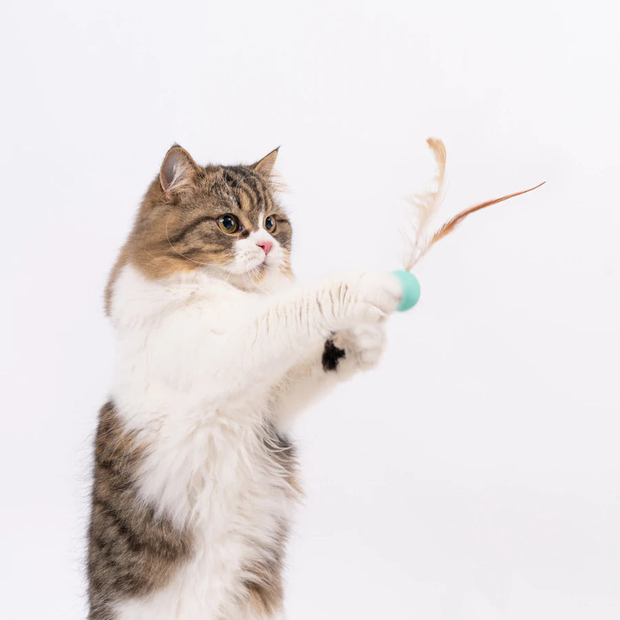 Pidan Bouncy Ball Cat Toys 3 pcs