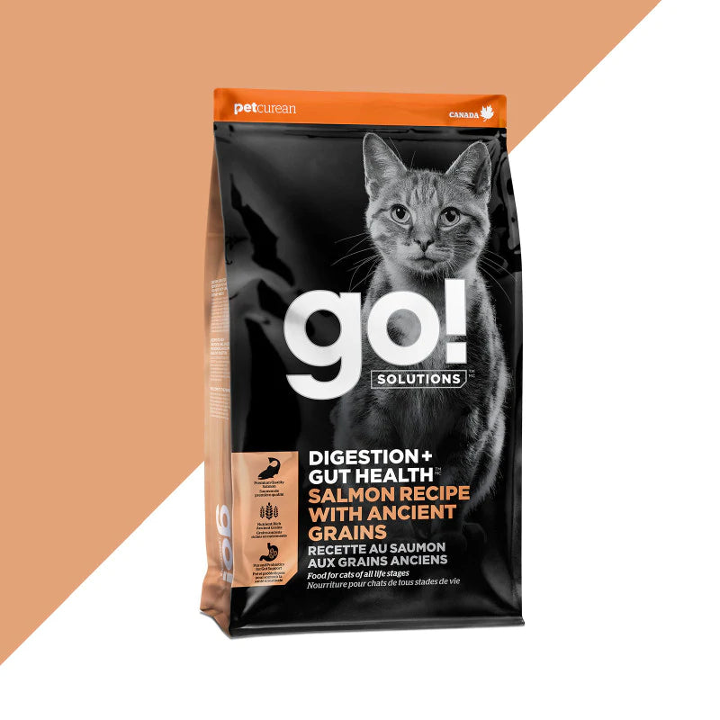 GO! Digestion Gut Health Salmon Recipe with Ancient Grains CAT