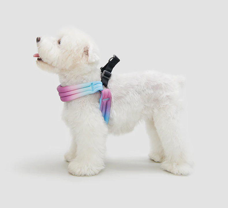 PIDAN Pet Harness