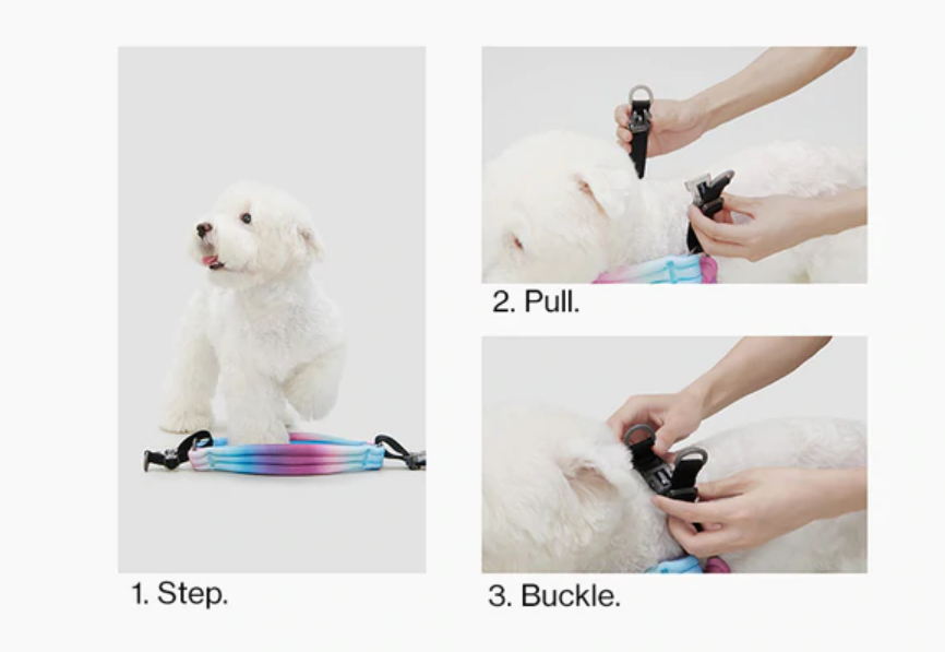 PIDAN Pet Harness