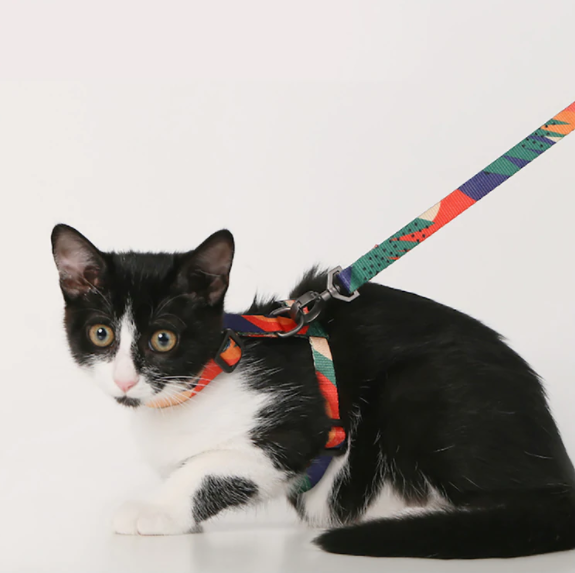 PIDAN Cat Leash Harness & Leash Set