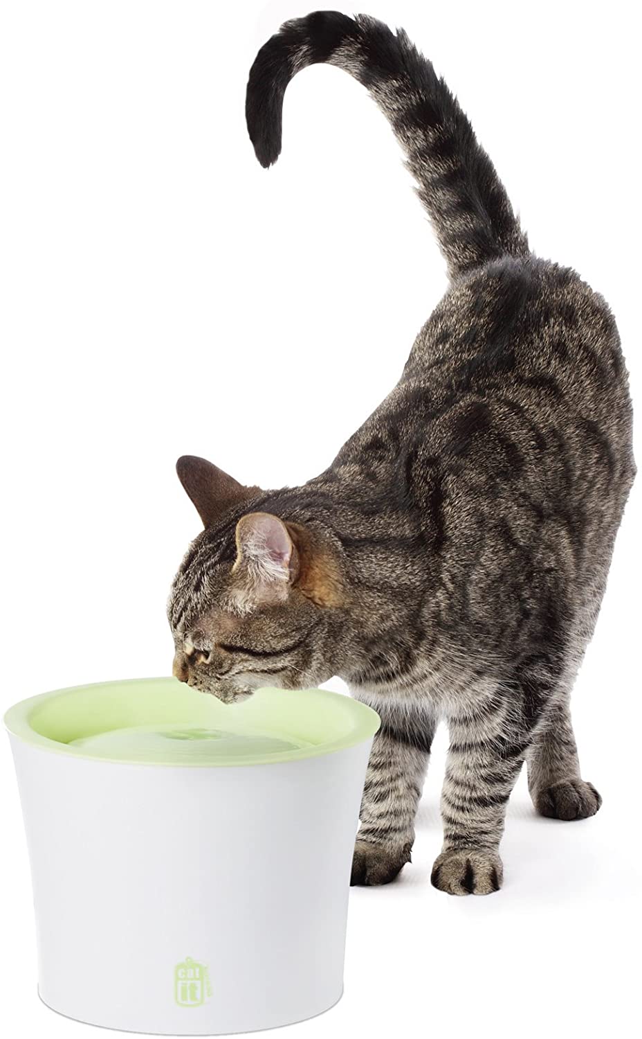 CATIT Design Fresh & Clear Drinking Fountain, 3.2 qt (3 L)
