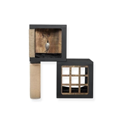 Be One Breed Katt3 - Habikatt Starter Kit - 15"