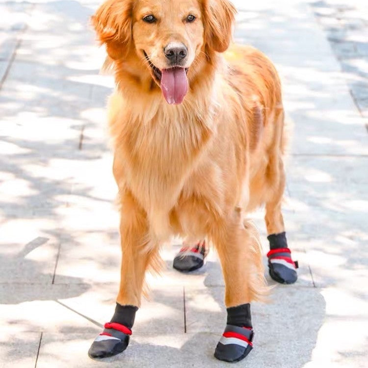 PT Big Dog Shoes Red