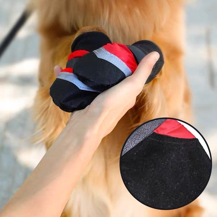 PT Big Dog Shoes Red