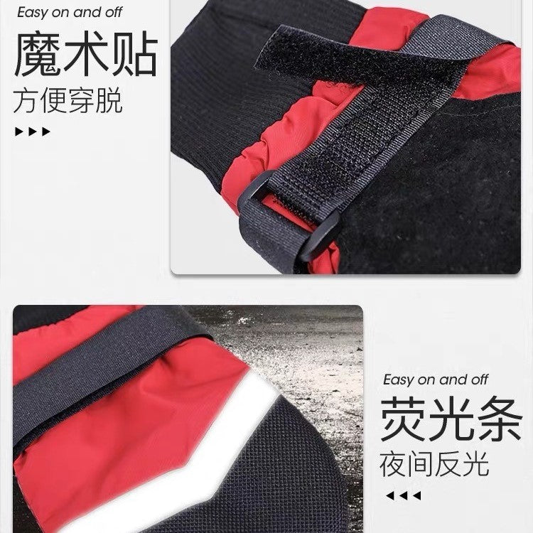 PT Big Dog Shoes Red