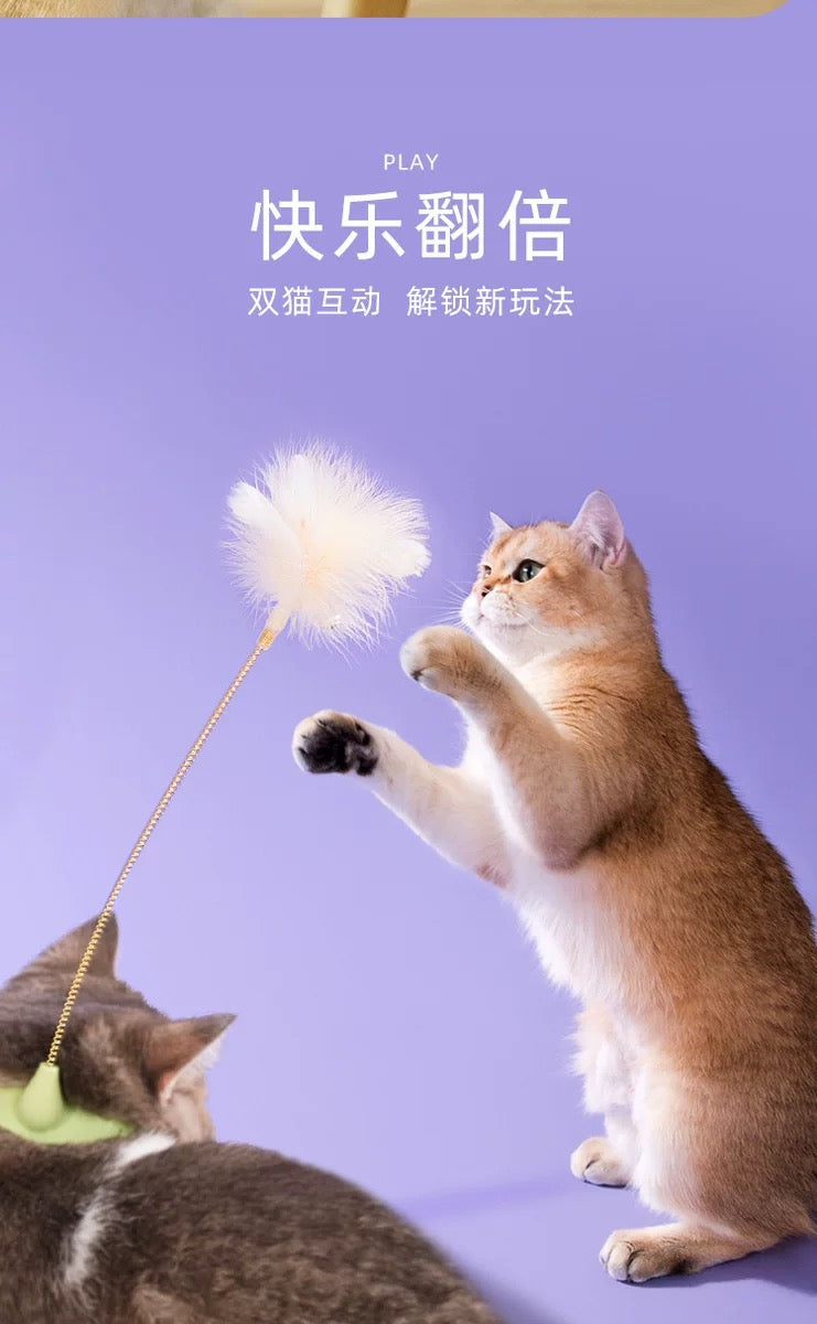 PT Hand-free Teaser Feather with Collar