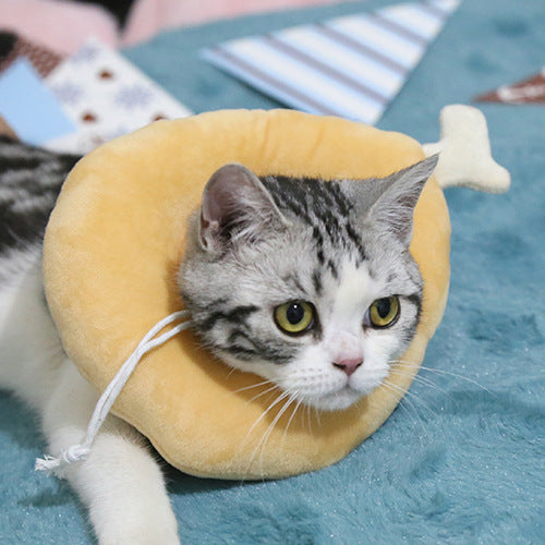 Chicken Thigh Recovery E-collar