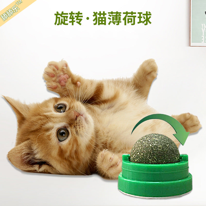 PT Catnip Ball