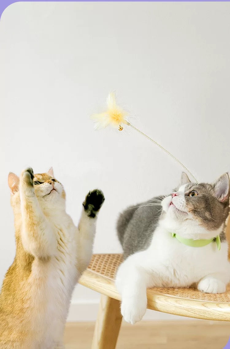 PT Hand-free Teaser Feather with Collar