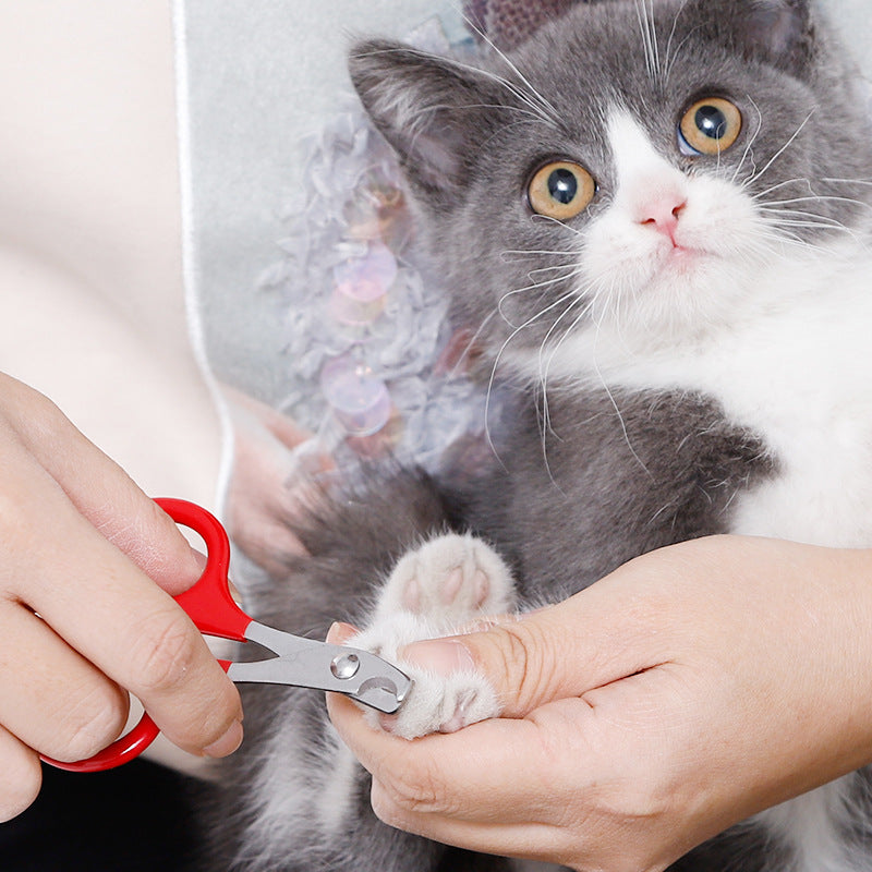 PT Cat Nail Scissor