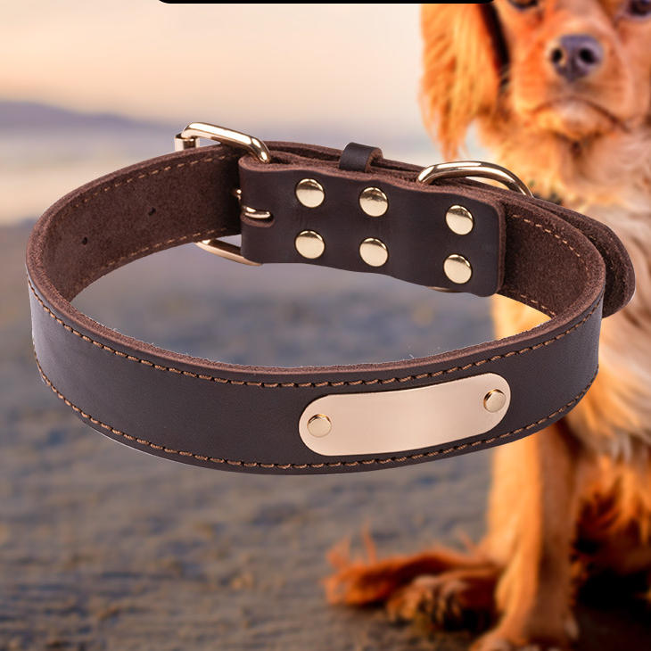 PT Leather Collar