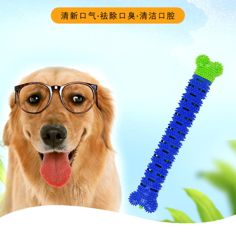PT Dog Toothbrush Toy