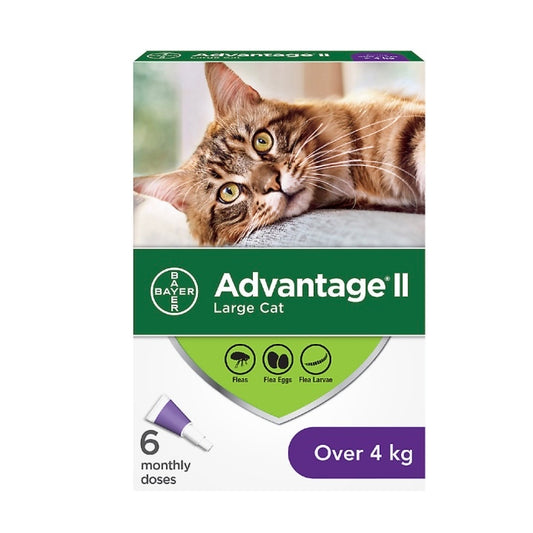 Advantage II Flea Protection - Large Cats (4kg+)