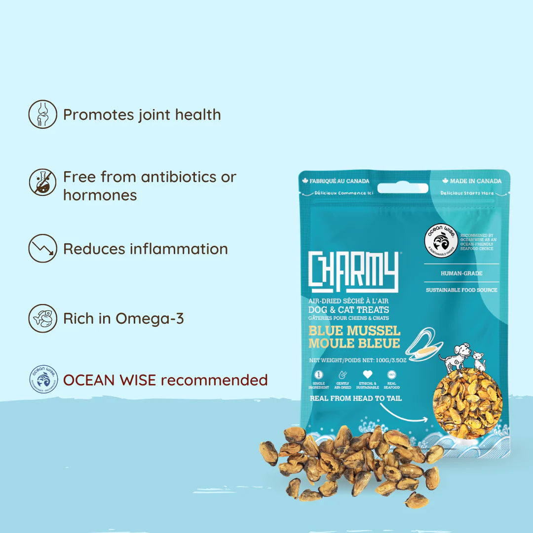 Charmy Blue Mussel Dog Treats
