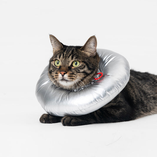 PIDAN E-Collar for Pets Waterproof Cloth Pillow Type