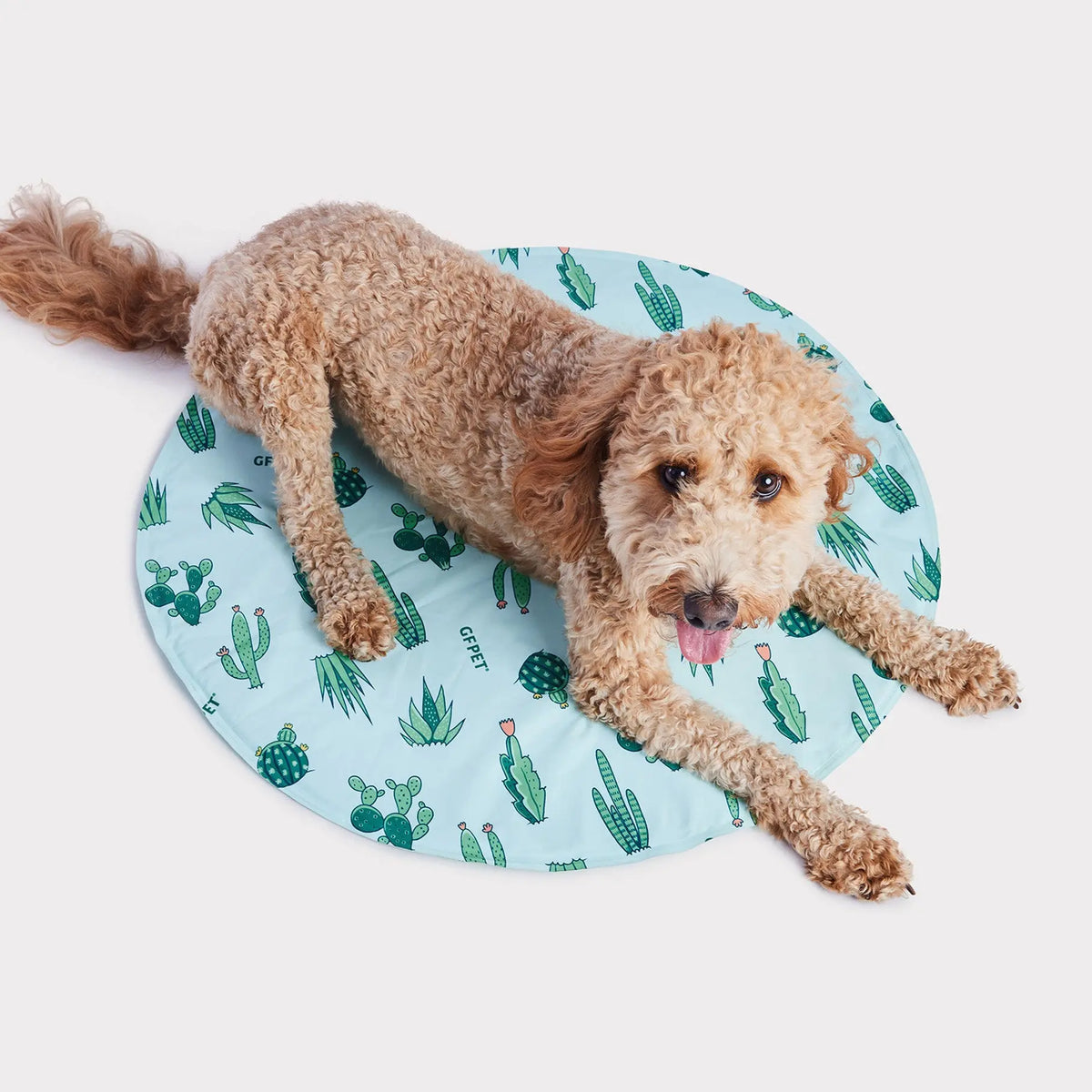 GF PET Ice Mat Round Aqua
