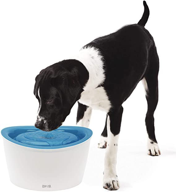 Zeus Dog Drinking Fountain - 6 L