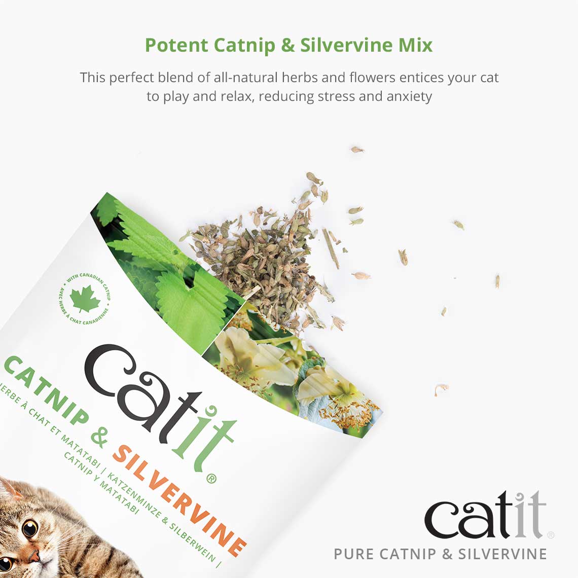Catit Catnip/Silvervine Mix