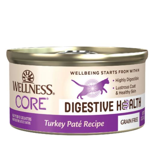 Wellness CORE Digestive Health Turkey Pate Recipe Wet Cat Food