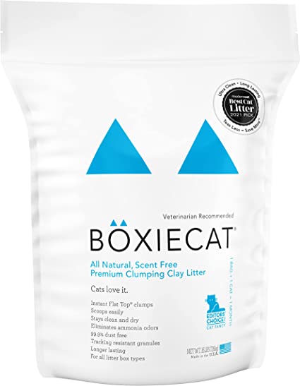 BoxieCat Clumping Litter Scent Free