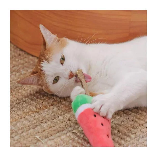 Meowcard Watermelon Silvervine Cat Toy