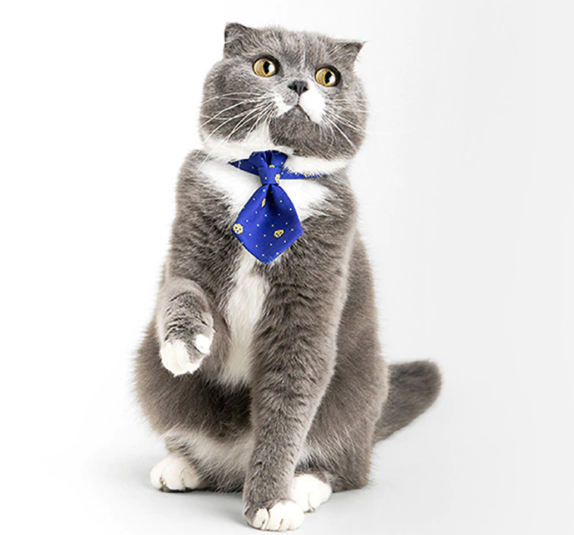 PIDAN Pet Necktie