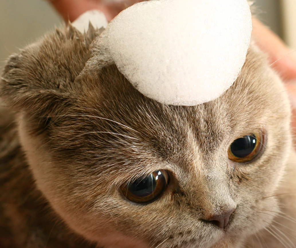 PIDAN Unscented Cat Shampoo