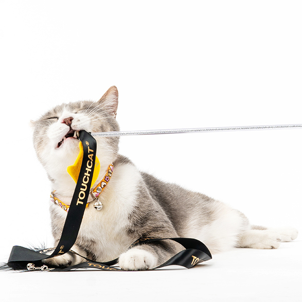TouchCat Cat Teaser Feather - Ribbon