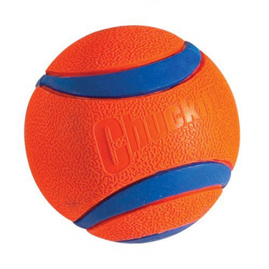 Chuck It! Ultra Squeaker Ball Medium Dog Toy