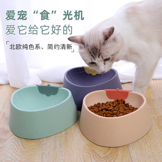 PT Pet Food Bowl