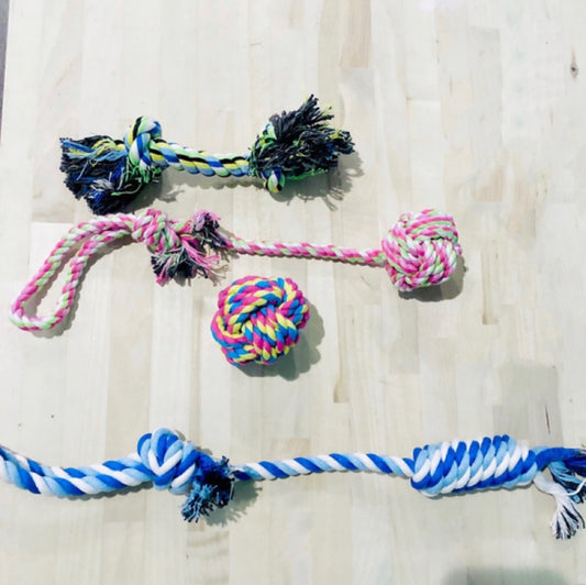 PT 4 Pieces Rope Dog Toys